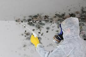 Best Biohazard Mold Removal  in Country Knolls, NY